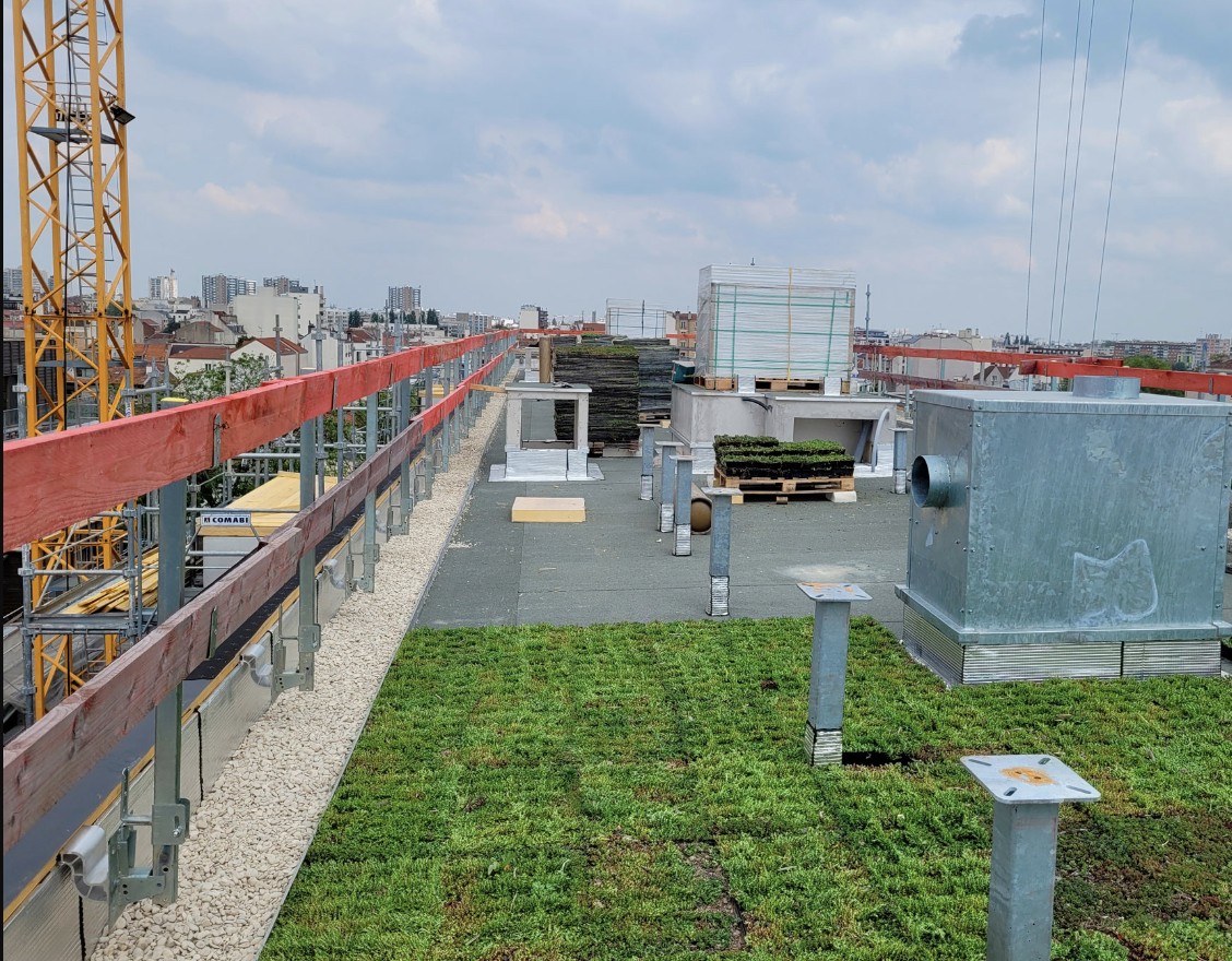 Toiture terrasse végétalisée